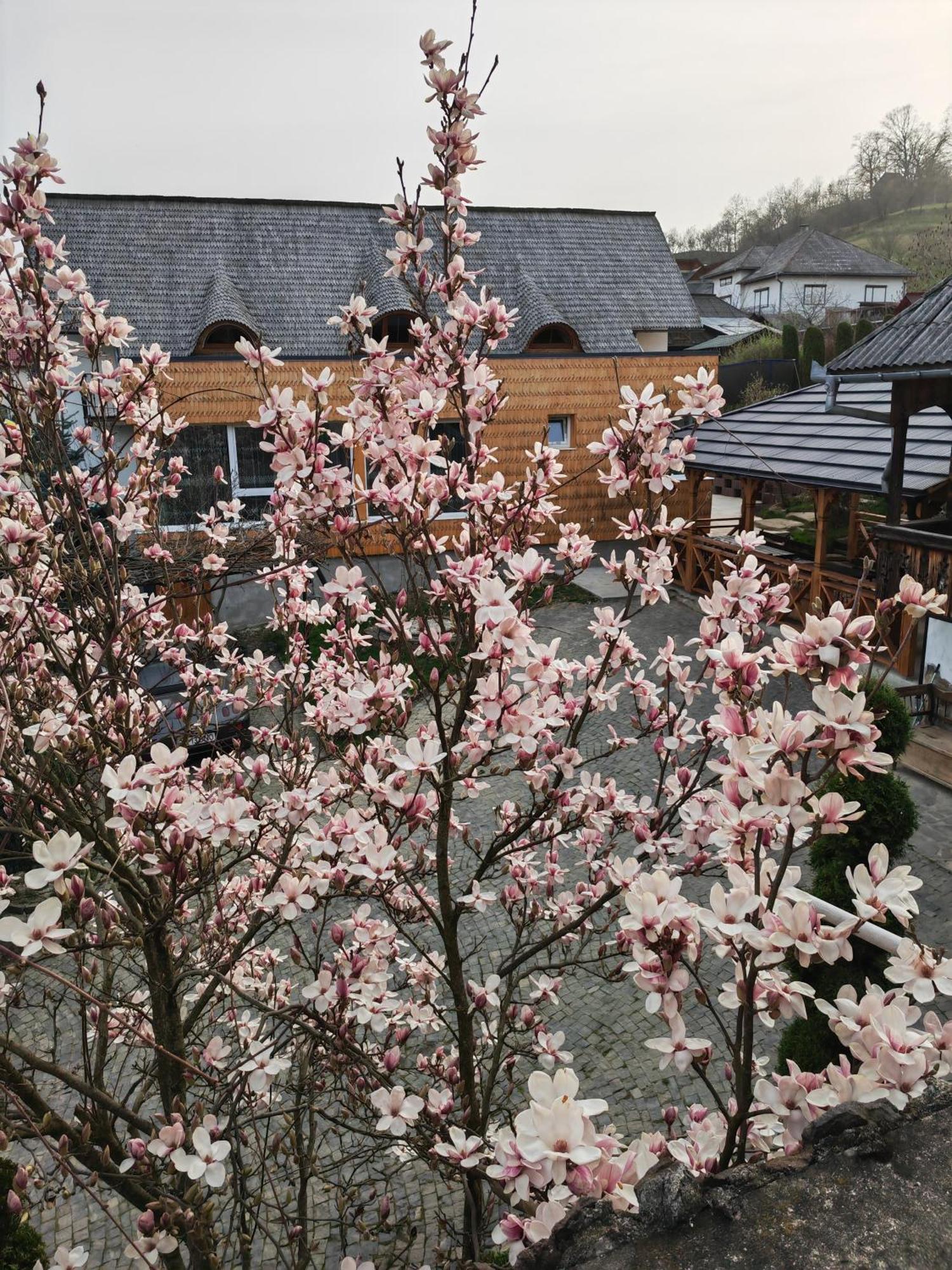 Casa Cu Magnolii Hotel Sajómező Kültér fotó