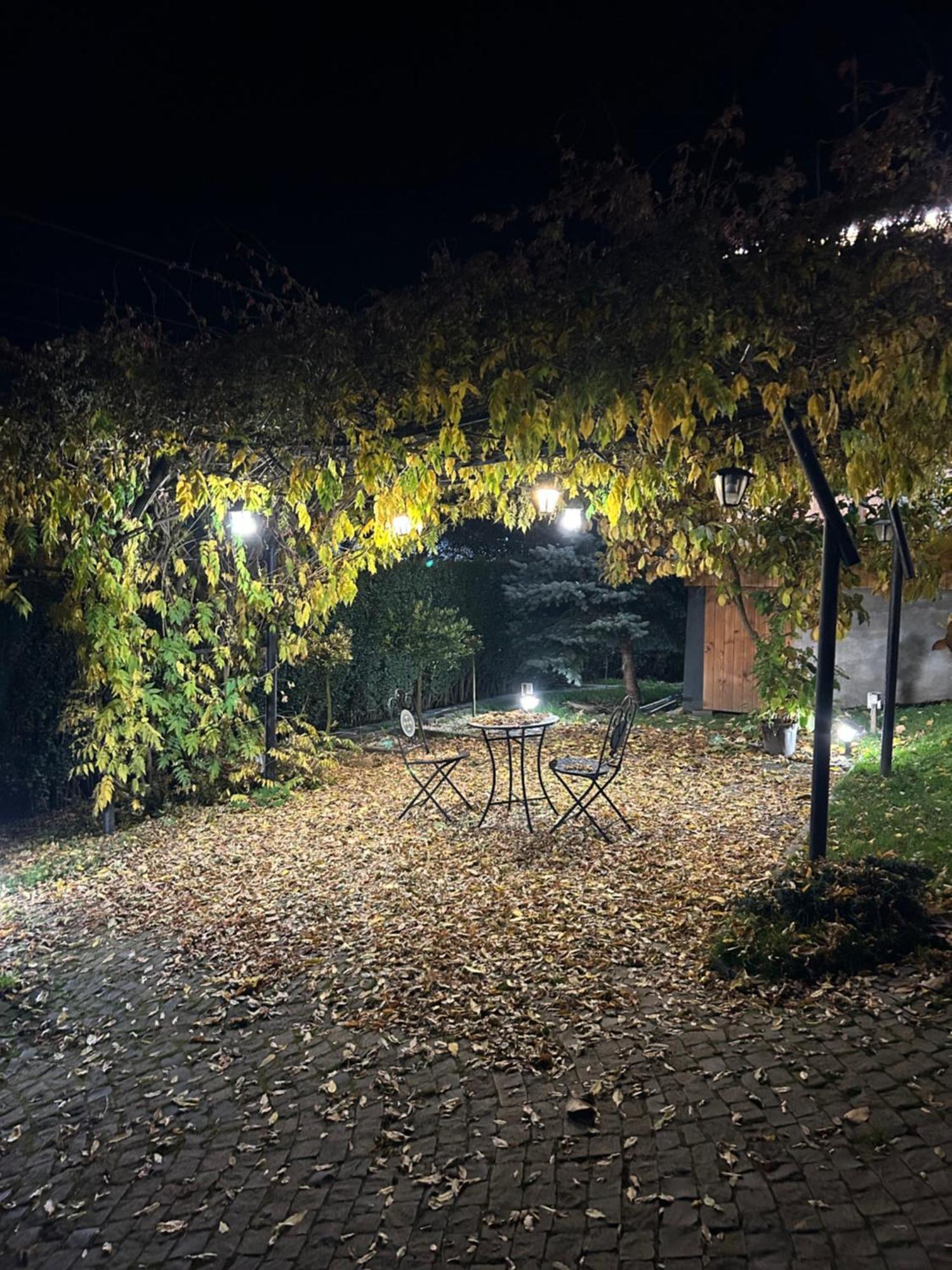 Casa Cu Magnolii Hotel Sajómező Kültér fotó