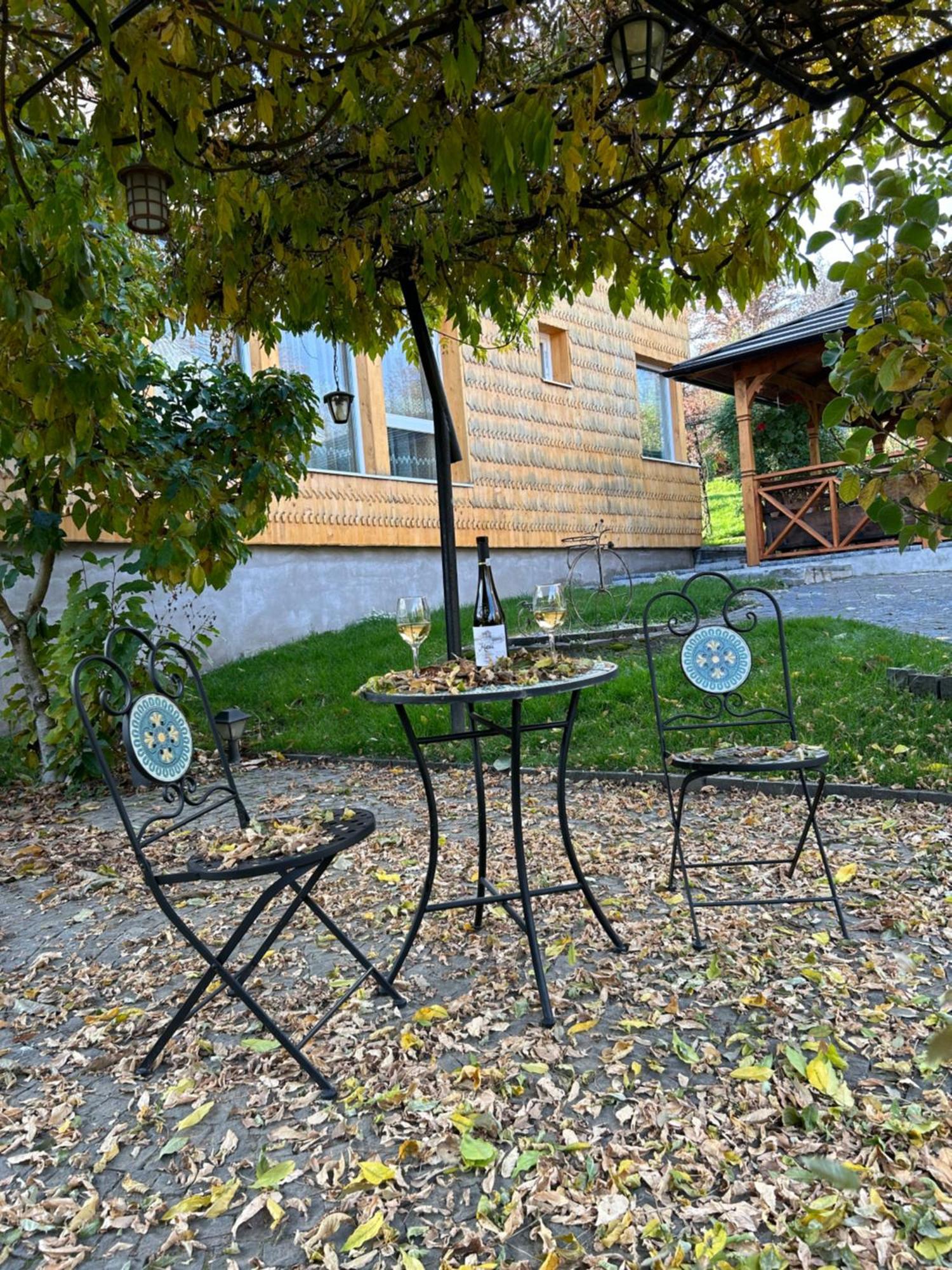 Casa Cu Magnolii Hotel Sajómező Kültér fotó