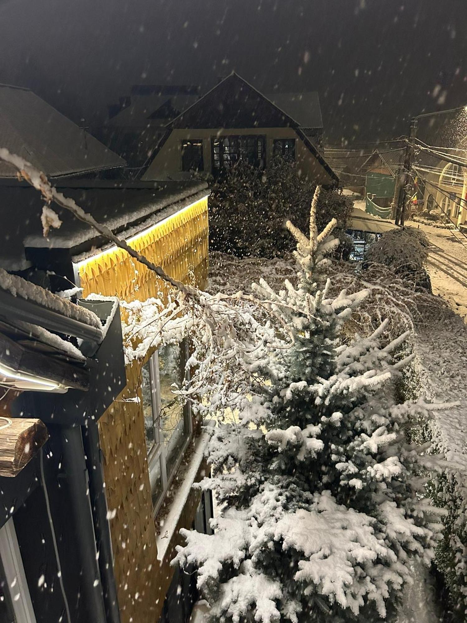 Casa Cu Magnolii Hotel Sajómező Kültér fotó