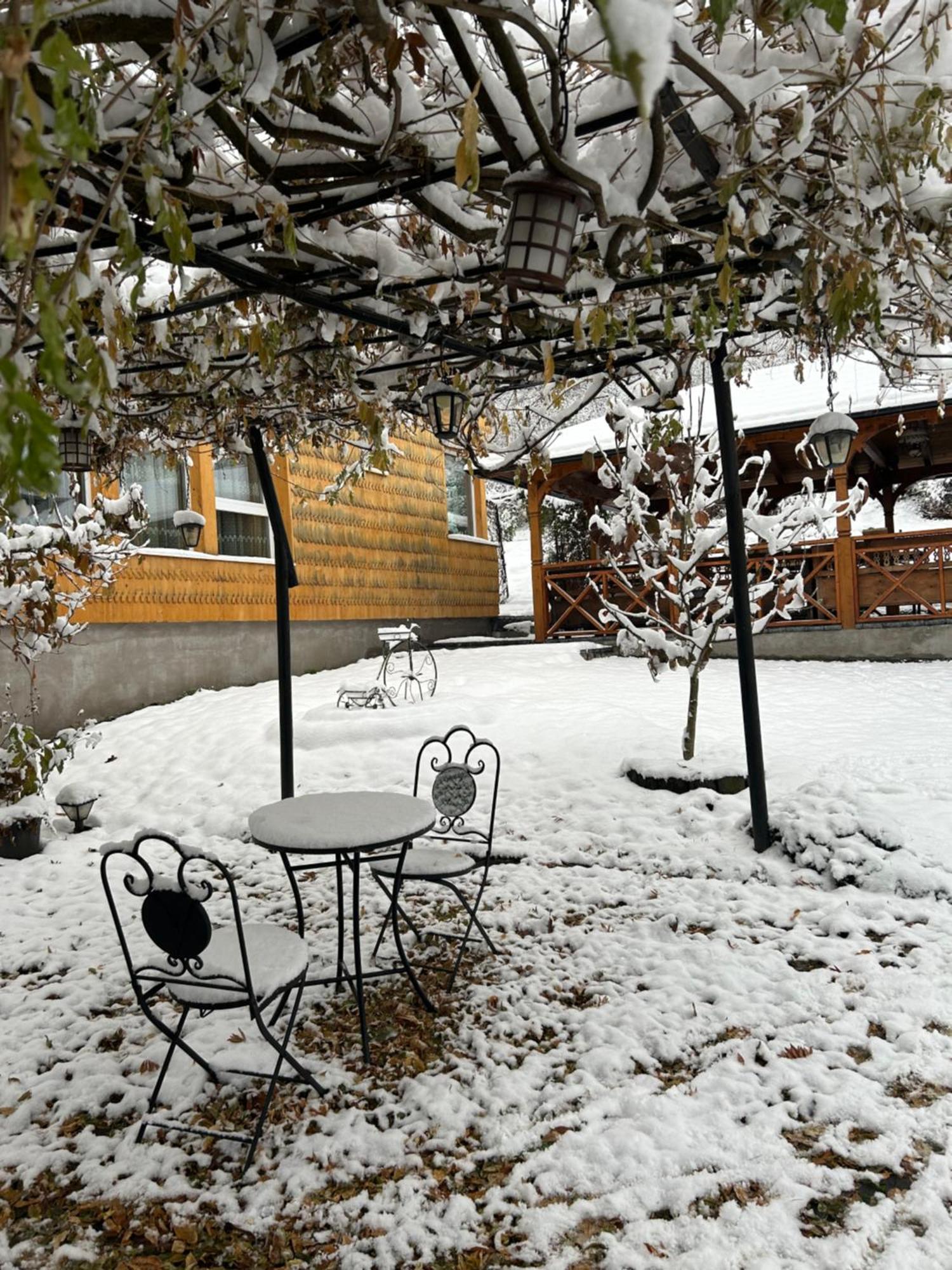 Casa Cu Magnolii Hotel Sajómező Kültér fotó